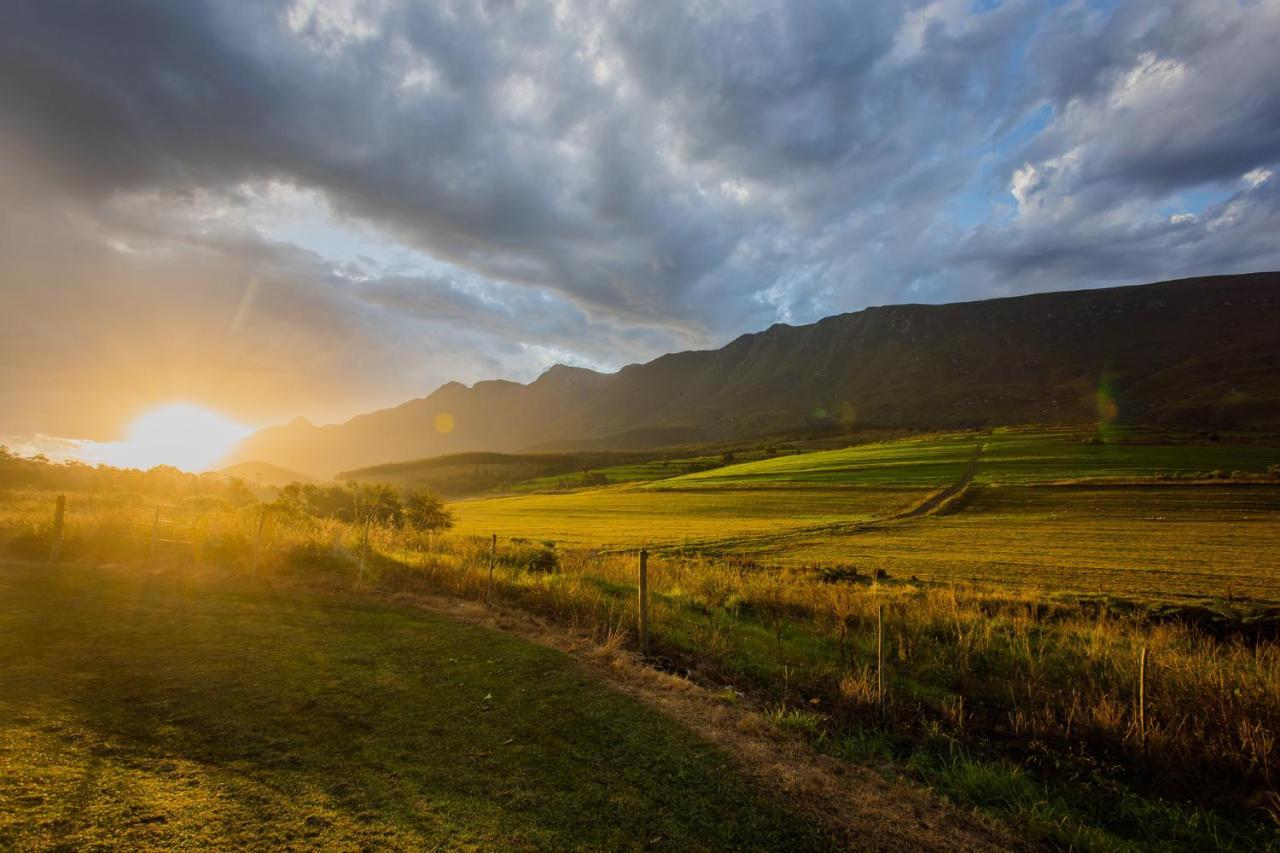 Appelsbosch Guest Farm Villa Swellendam Ngoại thất bức ảnh